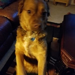 Meet your Posher, Susan